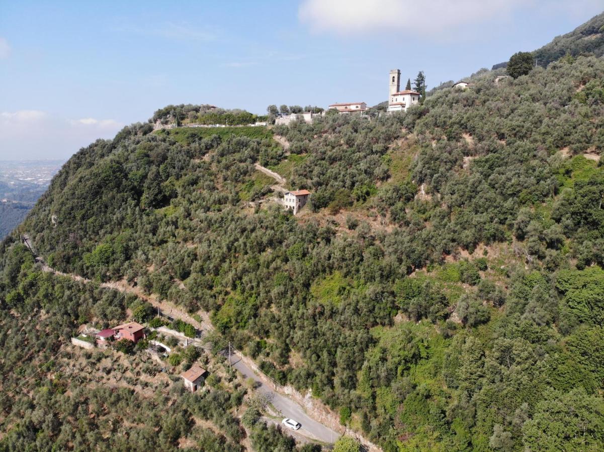 Casa Berti - Urlaub Im Olivenhain Камайоре Экстерьер фото